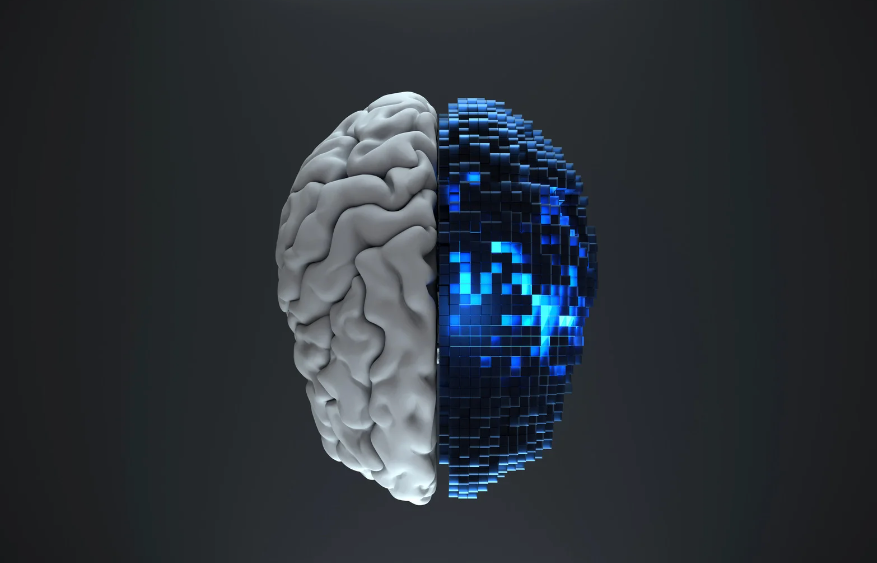 Brain and AI